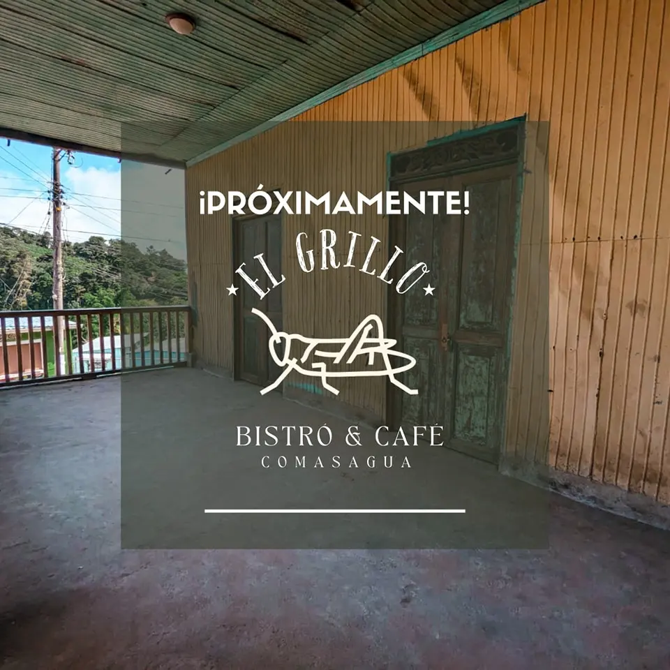 Imagen de galería 1